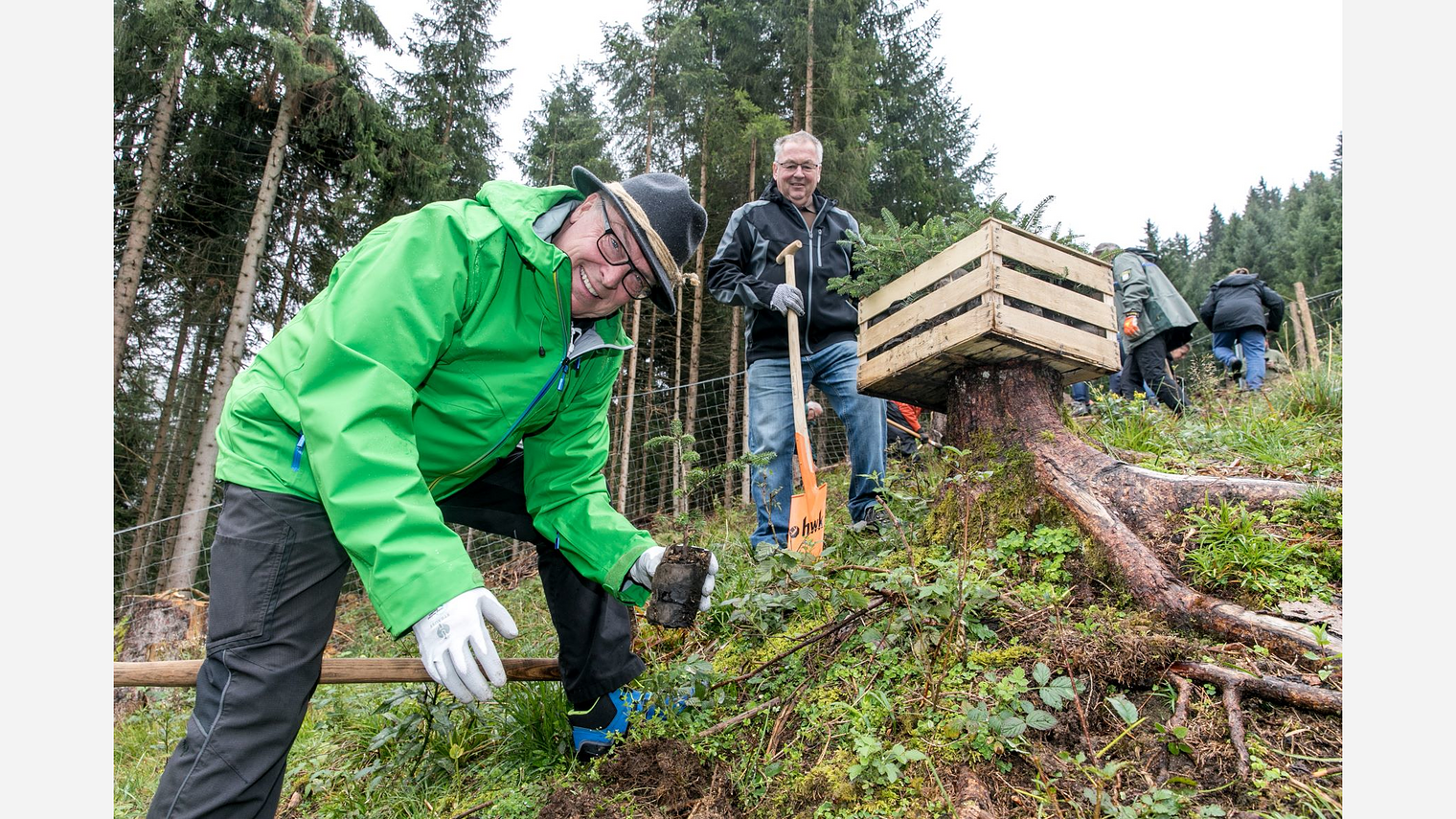 Baumpflanzaktion - Titelbild